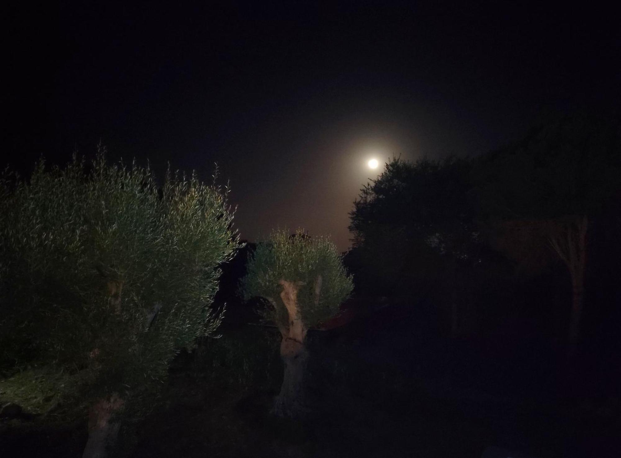 Villa Orizzonte Sullo Jonio 阿沃拉 外观 照片