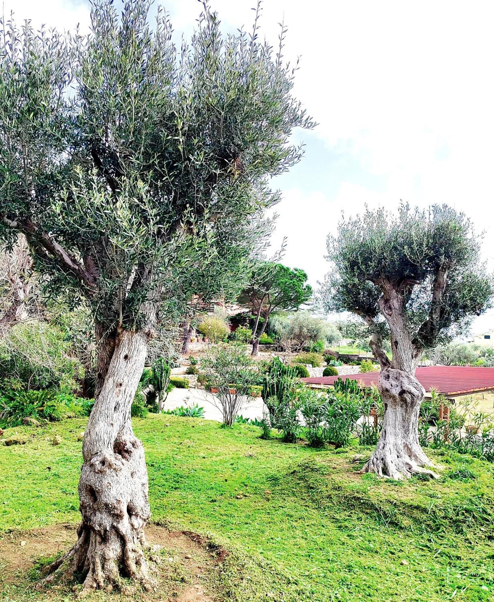 Villa Orizzonte Sullo Jonio 阿沃拉 外观 照片